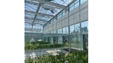 Glass Multi-span Greenhouse