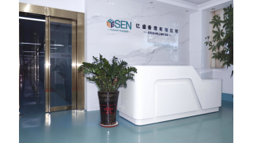 ESEN HK LIMITED