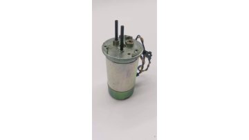 PI 8 motor