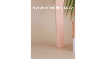 Wholesale Hot selling Private Label Natural Waterproof Eyebrow Styling Enhancer repair Custom logo eyebrow tinting stick1