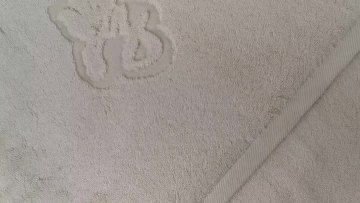 Custom Logo 100%Cotton Hotel Hand Towel