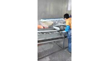 ribbon fish freezing
