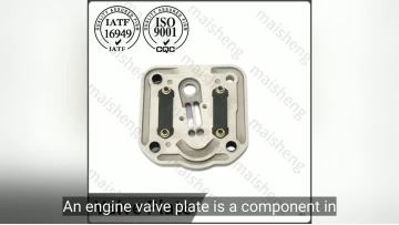 High Performance valve plate