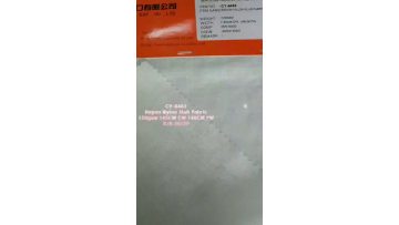 CY-6463 RAYON NYLON SLUB