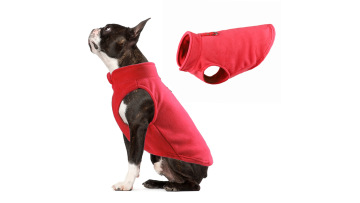 pet clothing