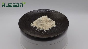 Sunflower Protein Powder