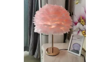 Nordic Creative Lovely Bedroom Bed Floor Lamp Natural Super Fluffy Feather Floor Lamp1
