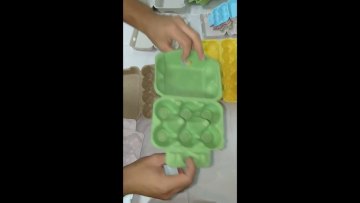 High quality biodegradable customized colored egg cartons wholesale1