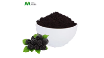 Youth China Manufacturer Supply Organic Freeze-dried Mulberry Fruit Juice Powder1
