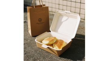 New Kraft Paper Food Container