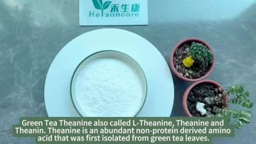 Green Tea Theanine