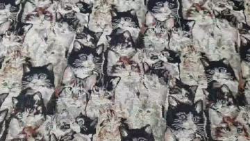 woven fabric small mat
