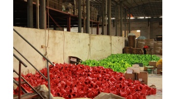 Packaging Department