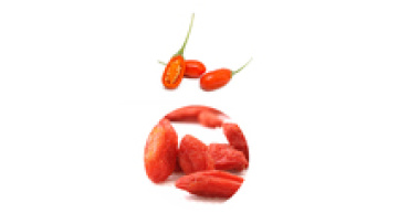 180 Grain Qinghai-Tibet Origin Nuts & Dry Fruit Chinese  Goji 100% Organic Goji Berry Fruit1