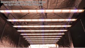 1000w grow light 1.8m