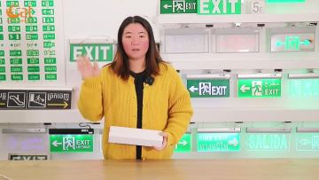 3W emergency downlight