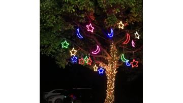 LED Flexible Rope Light
