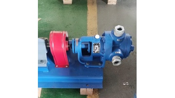 viking pump  Stainless steel internal gear pump Polyurethane foaming pump1