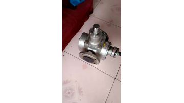 YCB10-0.6 Lubrication Oil Pump aec gear pump for Chemical industry1