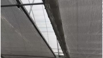 Shade net.