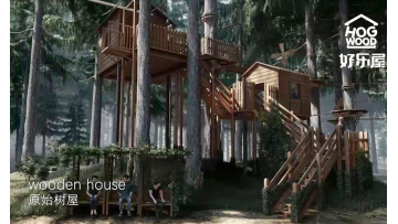 Jungle adventure project