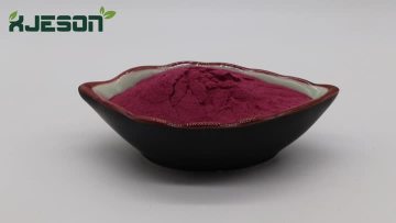 Aronia Fruit Powder