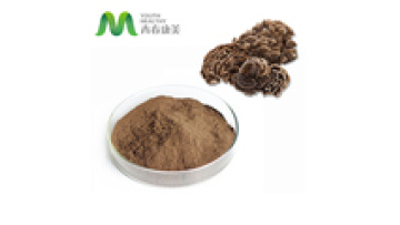 Mushroom Powder Trametes Coriolus Versicolor Turkey Tails Extract in Bulk1