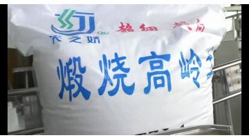 CALCINED KAOLIN TZJ-1 (14)