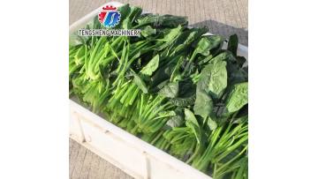 TS-GZ110 Large Commercial Slow Masticating Juicer
