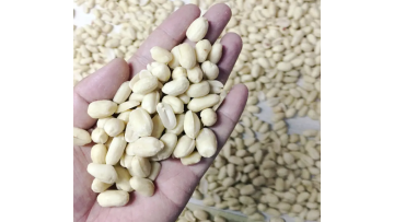 Air blanched peanut peeling machine 