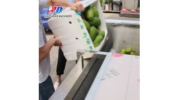 TS-M800 Industrial potato washing and peeling machine