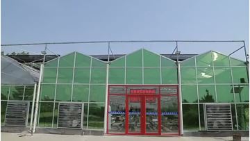 Glass greenhouse