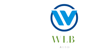 Shaanxi WLB Auto Sales Co.Ltd.