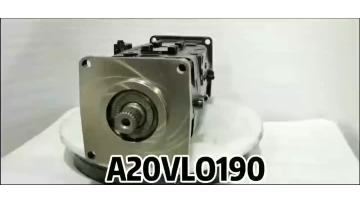 4A20VLO190 double pump 