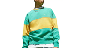 Custom Embroidered Heavyweight Crewneck Sweatshirts Polyester Puff Print Sweatshirt Men1