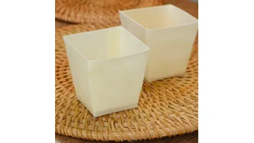 Disposable Wooden Cups & Boxes-Mousse Cake Sushi Cups, Eco-Friendly Tableware1