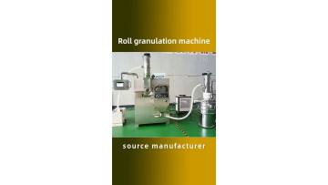 Dry granulation machine10