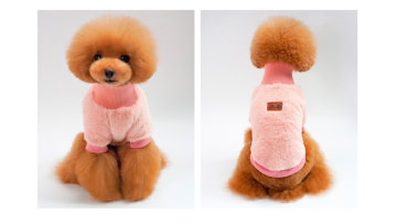 pet clothing