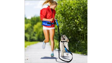 video hand free dog leash