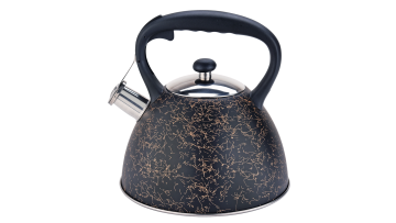 Gold lines and black coating water kettle FH-520