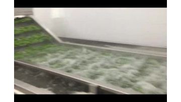 Bean production line
