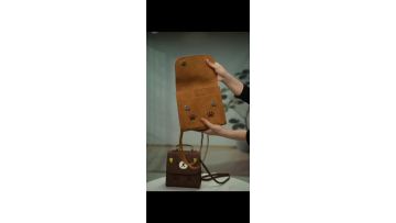 Brown Bear Bag
