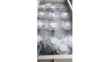Bubble Aerator