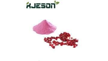 Pomegranate powder