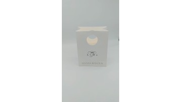 Custom hot sell paper gift bag with logo