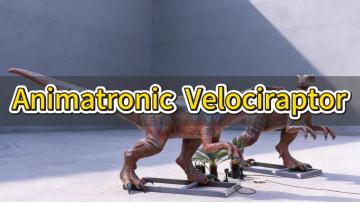 Animatronic Blue Raptor