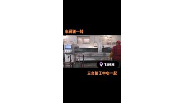 Automatic CNC Quartz Granite Marble Slabs Cutting Edge Polishing Glass Countertops Carving Engraver 