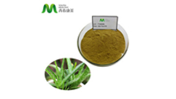 Halal Approved Wholesale Powder Aloe Vera Extract Polysaccharide 98%1