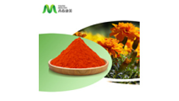 Lutein Supplier Wholesale Chicken Feed Calendula Officinalis Flower Extract Bilberry Lutein1