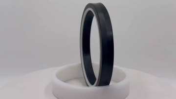 Rod Seal SEG